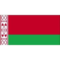 Flaga BIAŁORUŚ 45x30cm na patyku* Flaga BIAŁORUŚ 45x30cm na patyku*